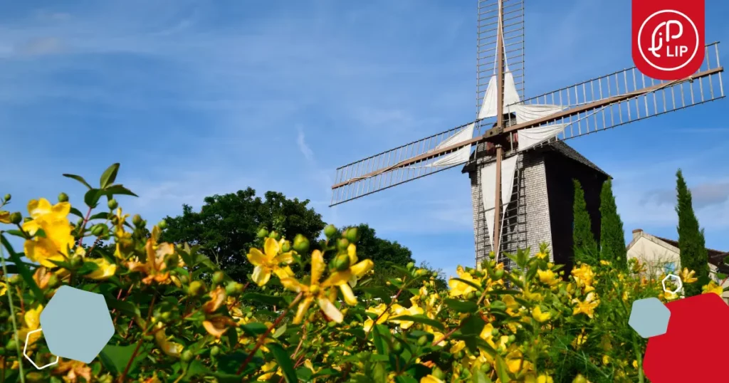 agence d’intérim à Sannois,agence d'intérim à argenteuil,intérim à argenteuil